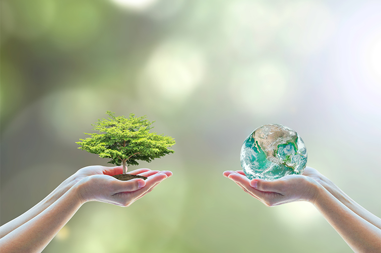 Sustentabilidade